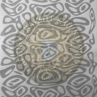 Round n Round Rifle Stencil